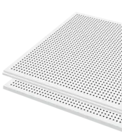 Gyptone® e’Sens Point 6mm